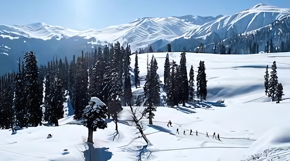 Domestic Tours (India)